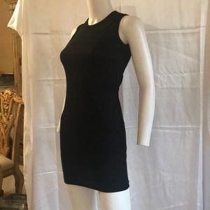 Sleeveless Mock-Ness Dress